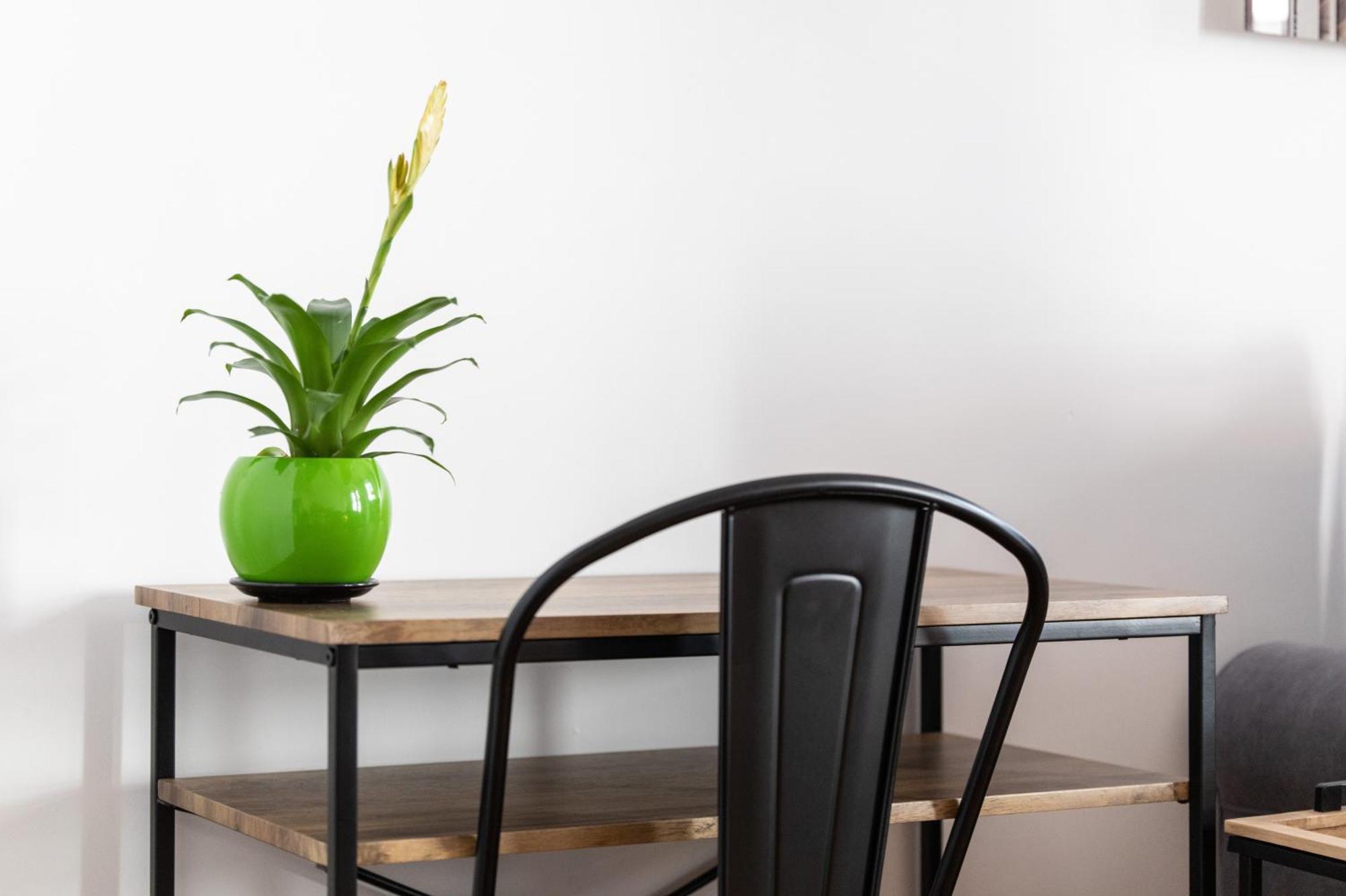 Mont Cervin Standing & Apartment